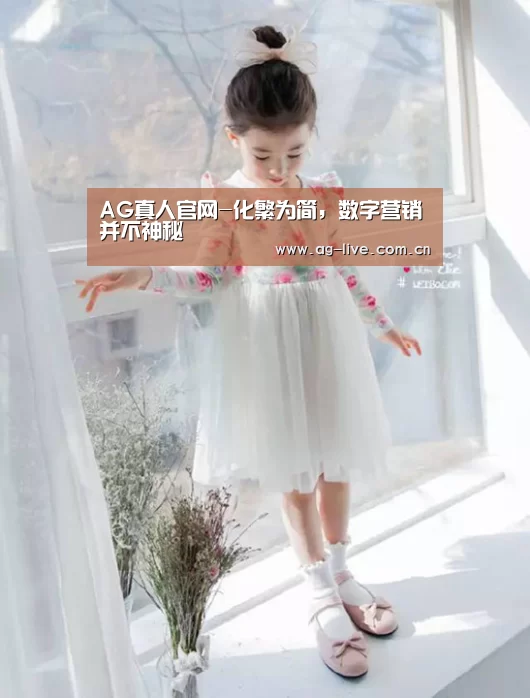 AG真人官网-化繁为简，数字营销并不神秘(图1)