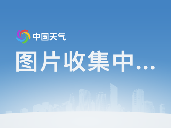 《叶问4:完结篇》票房破11亿刷新功夫电影纪录_Asia(图2) 《叶问4:完结篇》票房破11亿刷新功夫电影纪录_Asia(图2)